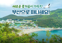 새로운 즐거움이 가득한 부산으로 떠나세요!