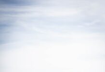 6월 이슬람 성지순례…“사우디 방문 시 메르스 주의하세요” two brown camels near body of water