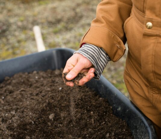 2025년 새해농업인 실용교육 운영 person in yellow jacket holding black soil