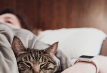 MZ세대, 수면도 과학적으로…‘슬립테크’ 인기 person holding gray tabby cat while lying on bed