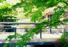 “입술이 자꾸 터요”…초여름 ‘비타민 부족’이 부르는 경고 a bridge over a river