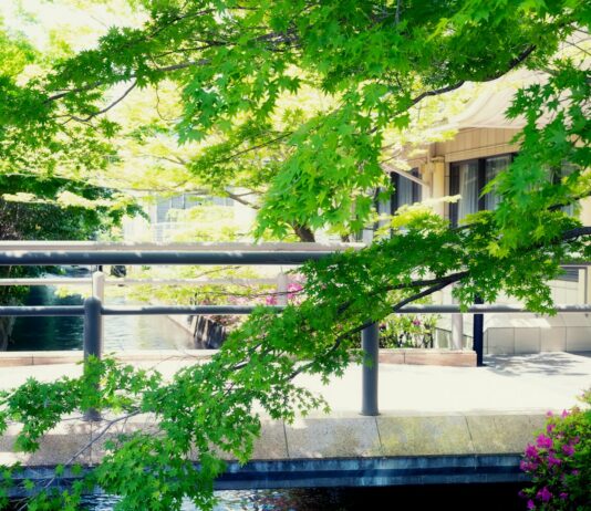 “입술이 자꾸 터요”…초여름 ‘비타민 부족’이 부르는 경고 a bridge over a river