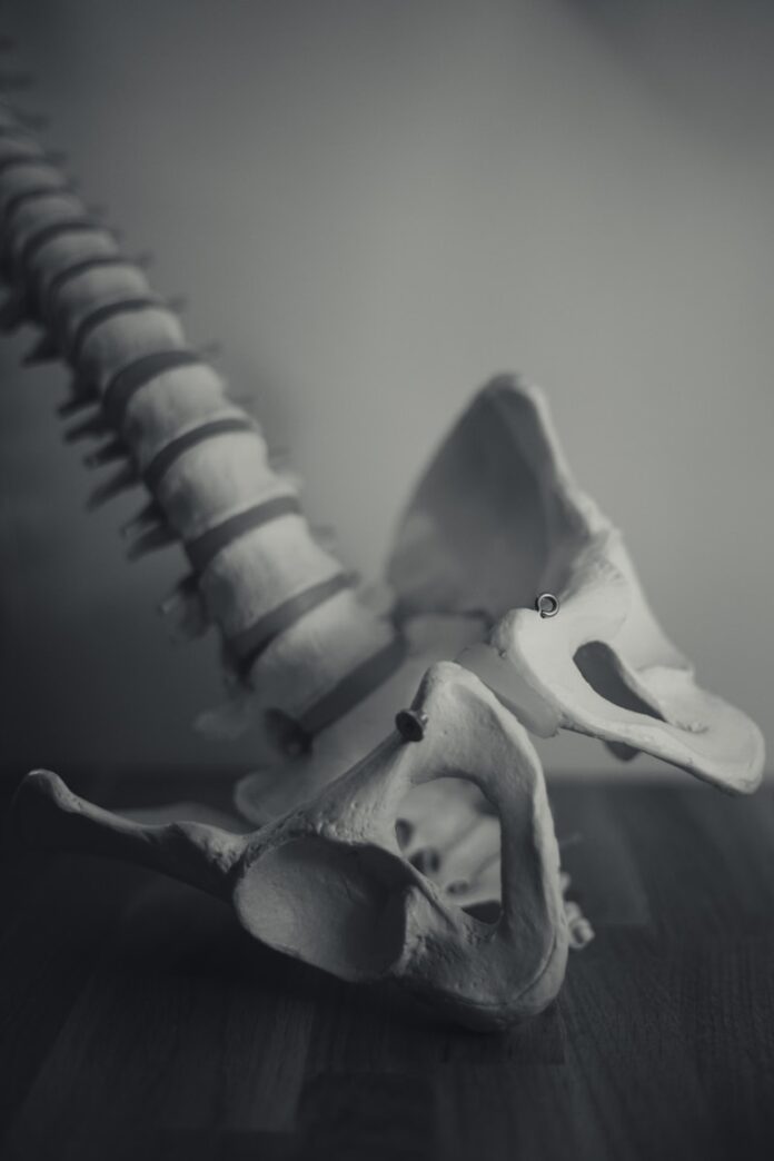 Photo by Otto Norin grayscale photo of dragon figurine